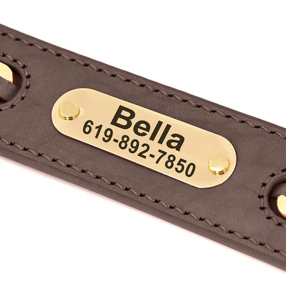 Avon - Personalised Leather Dog Collar with Engraved Nameplate