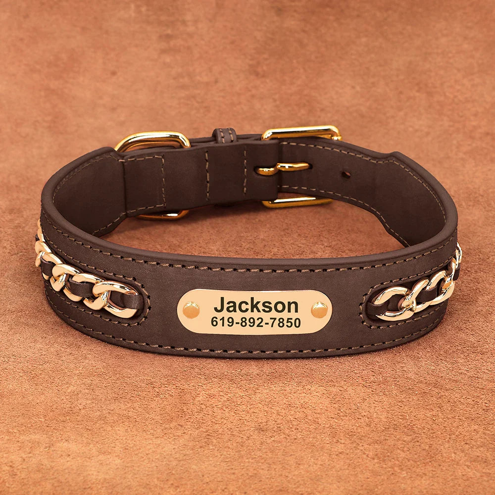 Avon - Personalised Leather Dog Collar with Engraved Nameplate