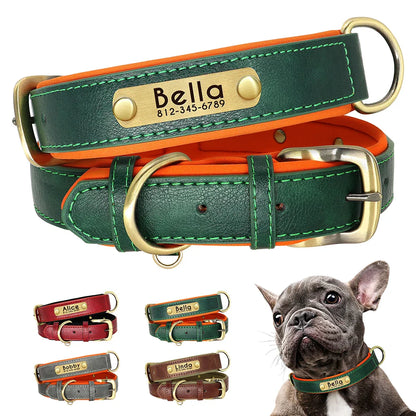 Birch - Custom Engraved Leather Dog Collar, Adjustable All Sizes
