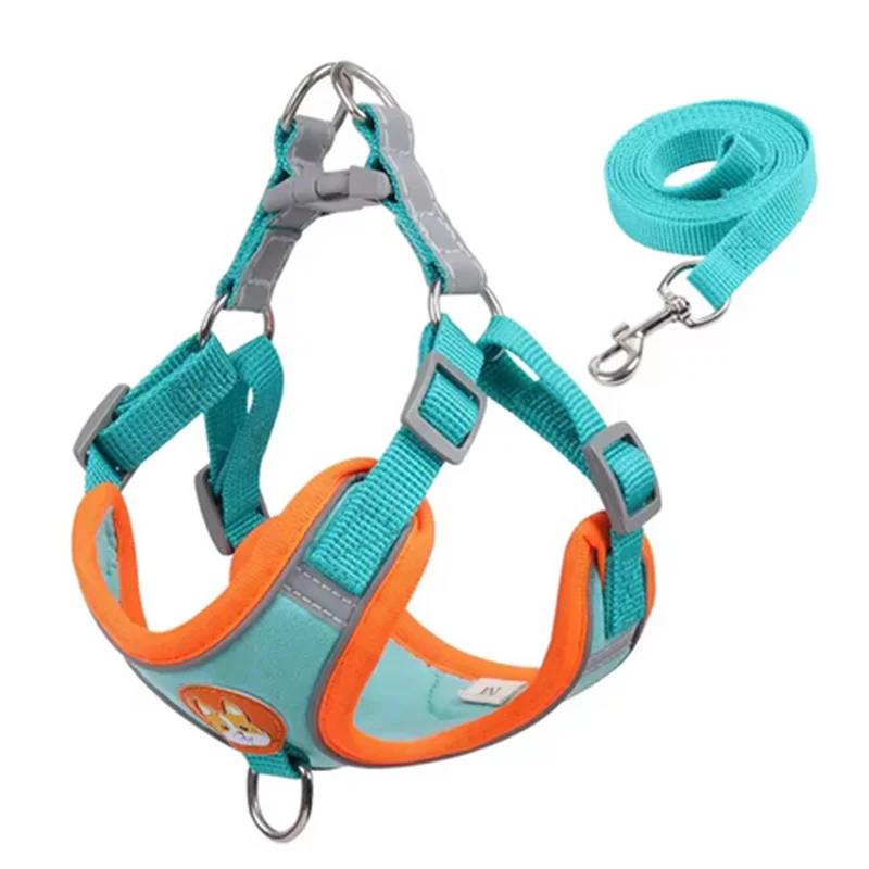 Derwent - No-Pull Dog Harness and Leash Set for Small Dogs
