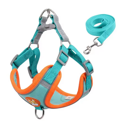 Derwent - No-Pull Dog Harness and Leash Set for Small Dogs