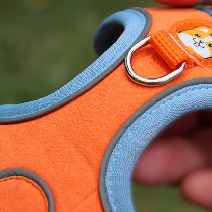 Derwent - No-Pull Dog Harness and Leash Set for Small Dogs