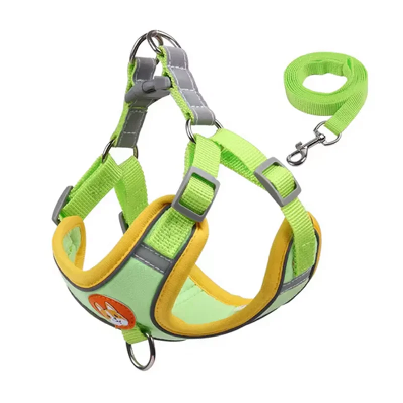 Derwent - No-Pull Dog Harness and Leash Set for Small Dogs