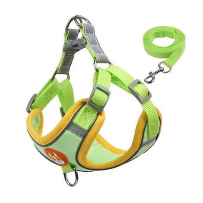Derwent - No-Pull Dog Harness and Leash Set for Small Dogs