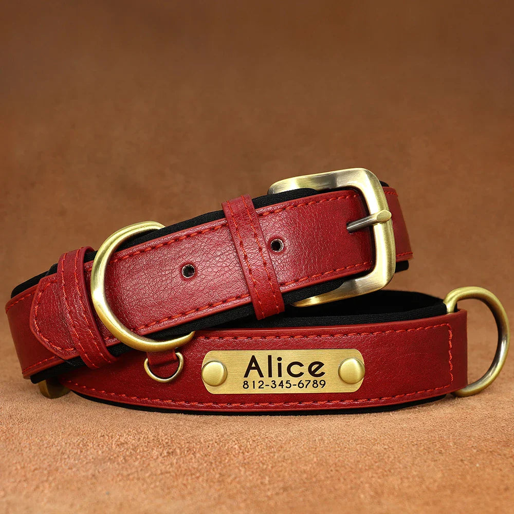 Birch - Custom Engraved Leather Dog Collar, Adjustable All Sizes