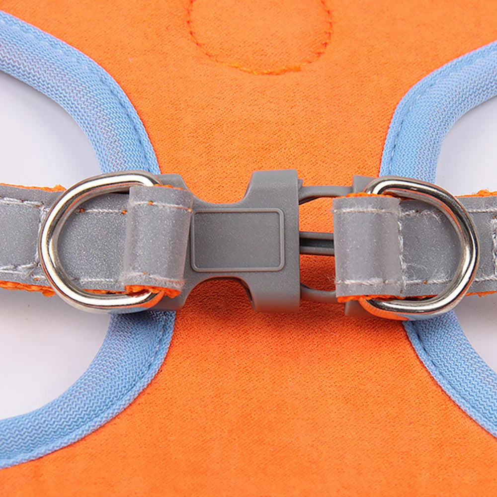 Derwent - No-Pull Dog Harness and Leash Set for Small Dogs