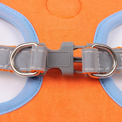 Derwent - No-Pull Dog Harness and Leash Set for Small Dogs