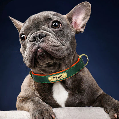 Birch - Custom Engraved Leather Dog Collar, Adjustable All Sizes