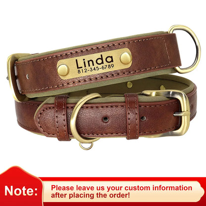 Birch - Custom Engraved Leather Dog Collar, Adjustable All Sizes