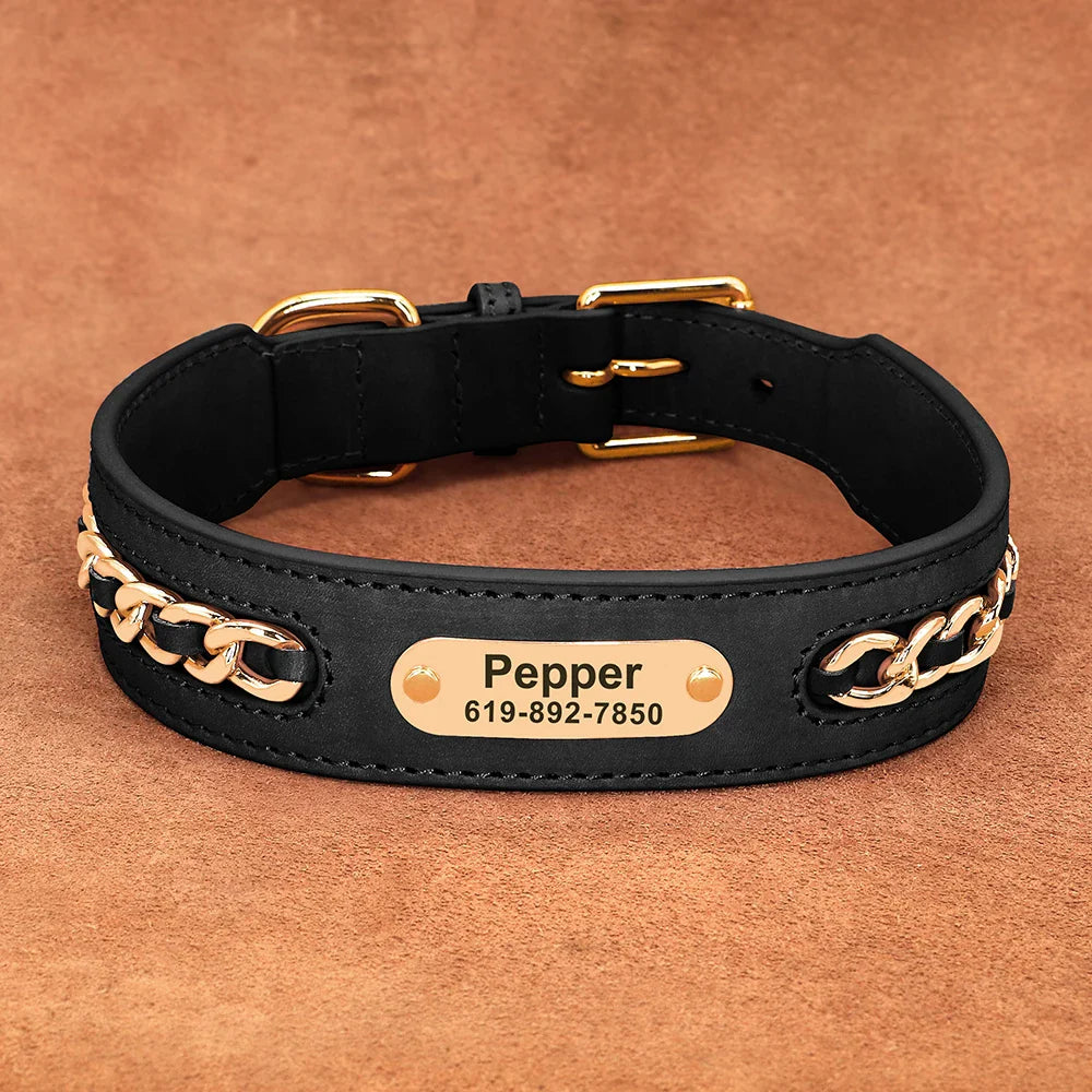 Avon - Personalised Leather Dog Collar with Engraved Nameplate
