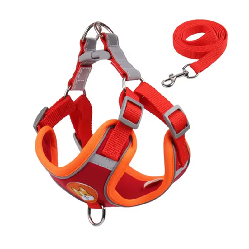 Derwent - No-Pull Dog Harness and Leash Set for Small Dogs