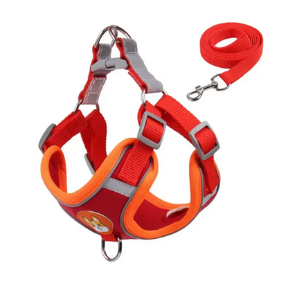 Derwent - No-Pull Dog Harness and Leash Set for Small Dogs