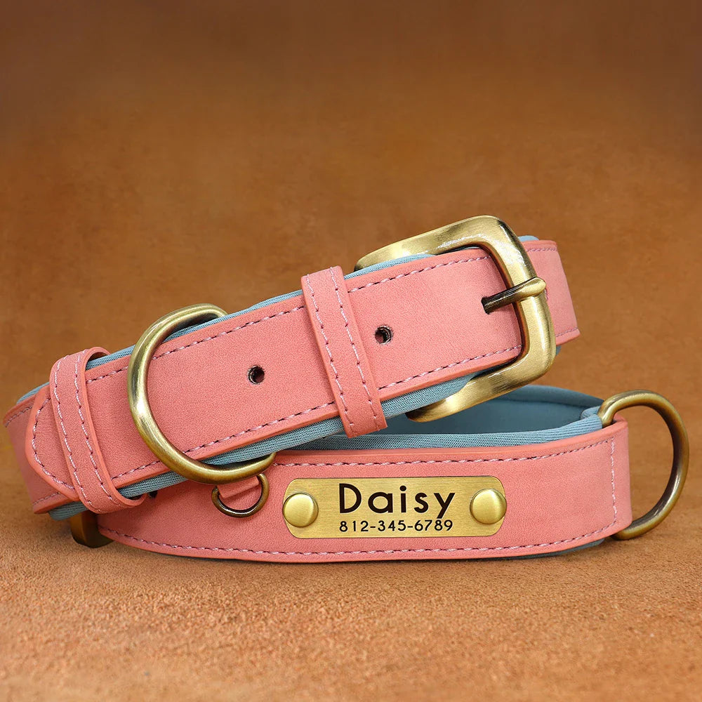 Birch - Custom Engraved Leather Dog Collar, Adjustable All Sizes