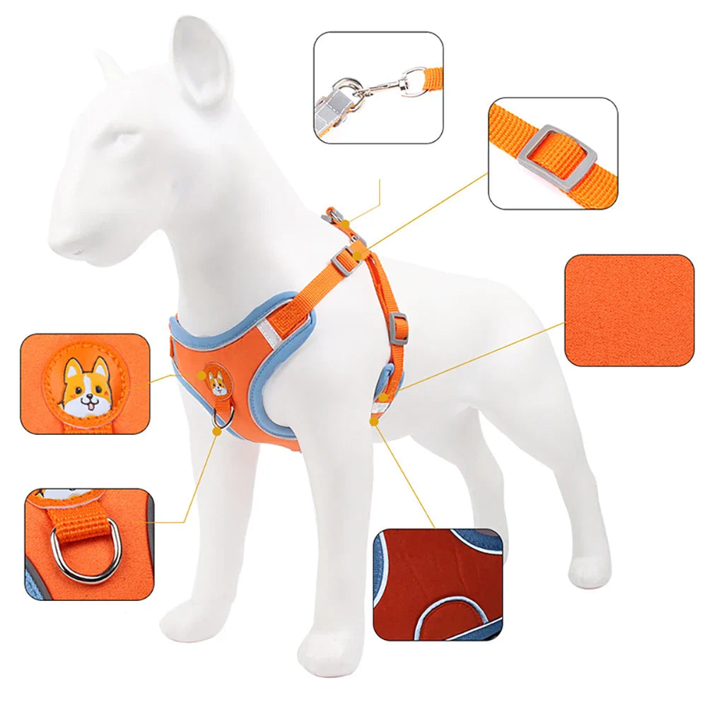 Derwent - No-Pull Dog Harness and Leash Set for Small Dogs