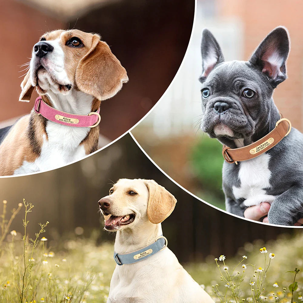 Ember - Custom Engraved PU Leather Dog Collar with ID Nameplate
