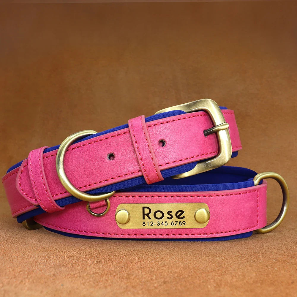 Birch - Custom Engraved Leather Dog Collar, Adjustable All Sizes