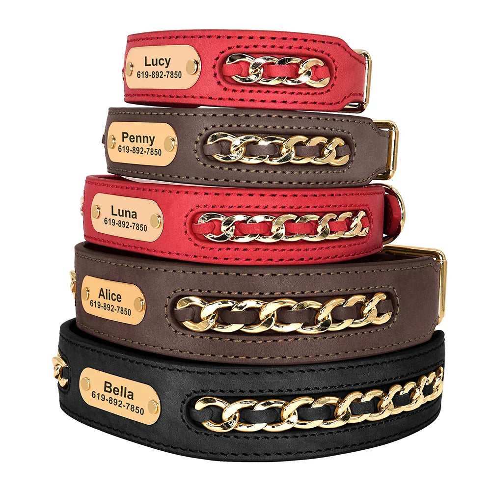 Avon - Personalised Leather Dog Collar with Engraved Nameplate