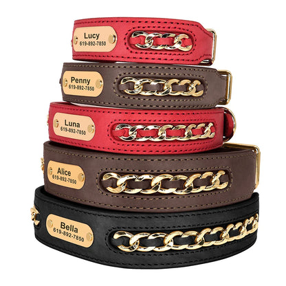 Avon - Personalised Leather Dog Collar with Engraved Nameplate