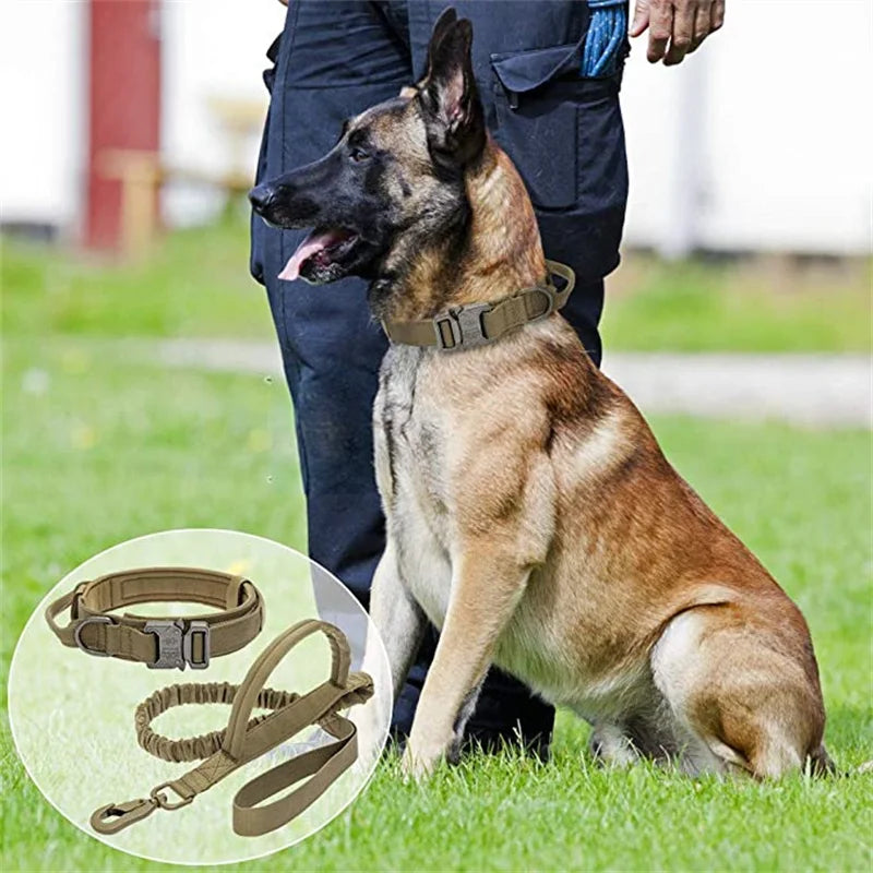 Cedar - Heavy Duty Tactical Dog Collar with Control Handle, 1000D Nylon