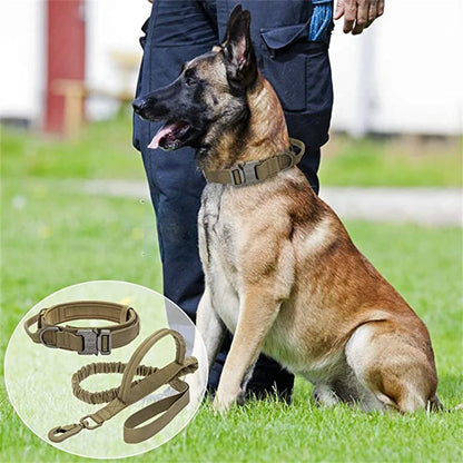 Cedar - Heavy Duty Tactical Dog Collar with Control Handle, 1000D Nylon