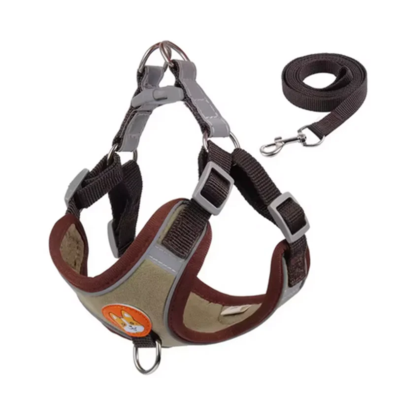 Derwent - No-Pull Dog Harness and Leash Set for Small Dogs