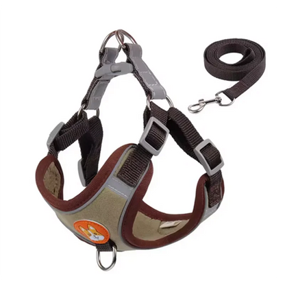 Derwent - No-Pull Dog Harness and Leash Set for Small Dogs