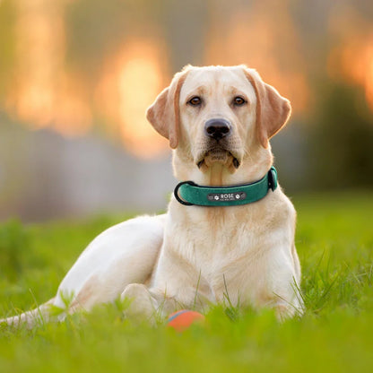 Fern - Personalised Leather Dog Collar with Engraved Nameplate