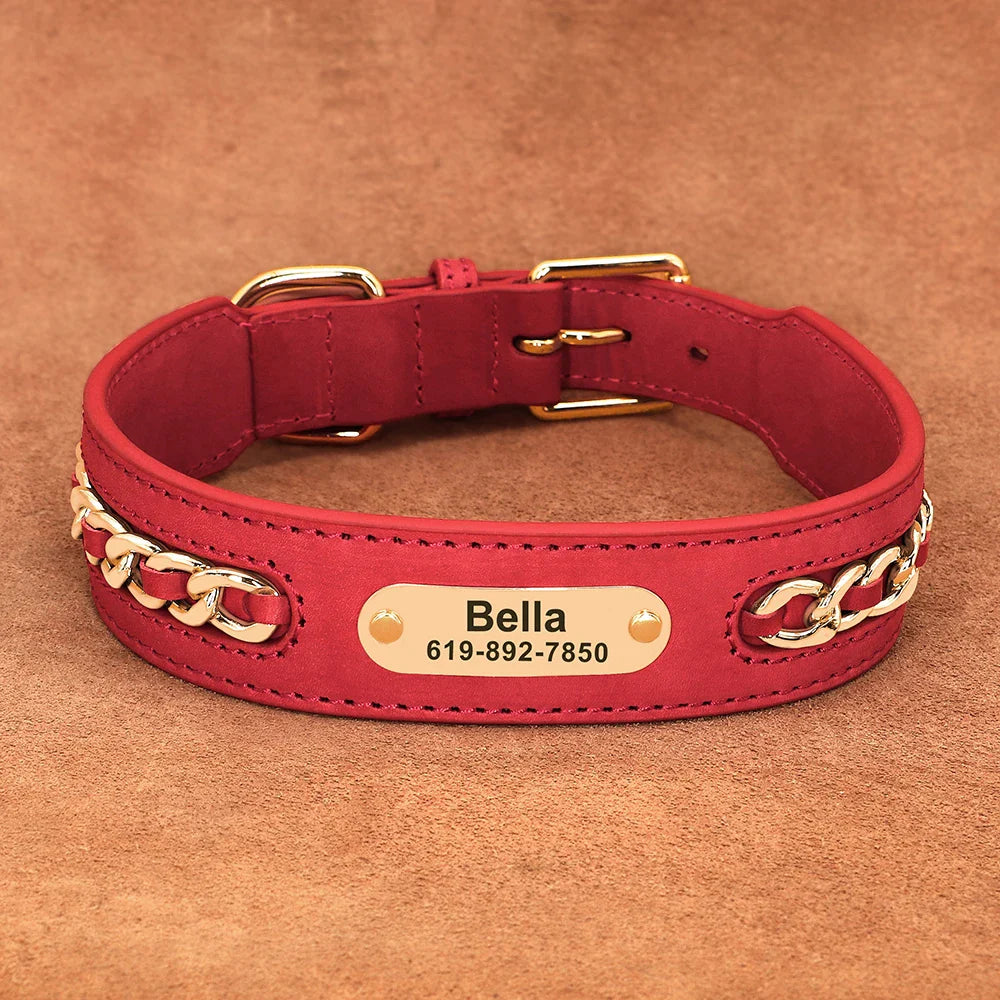 Avon - Personalised Leather Dog Collar with Engraved Nameplate