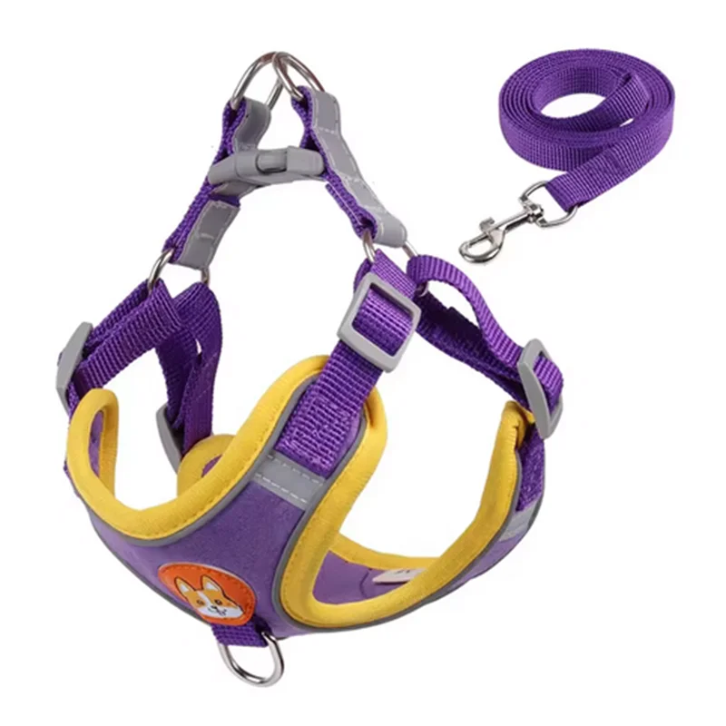 Derwent - No-Pull Dog Harness and Leash Set for Small Dogs