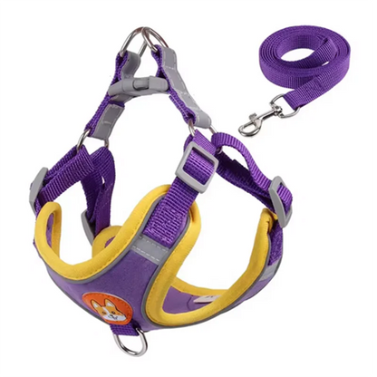 Derwent - No-Pull Dog Harness and Leash Set for Small Dogs