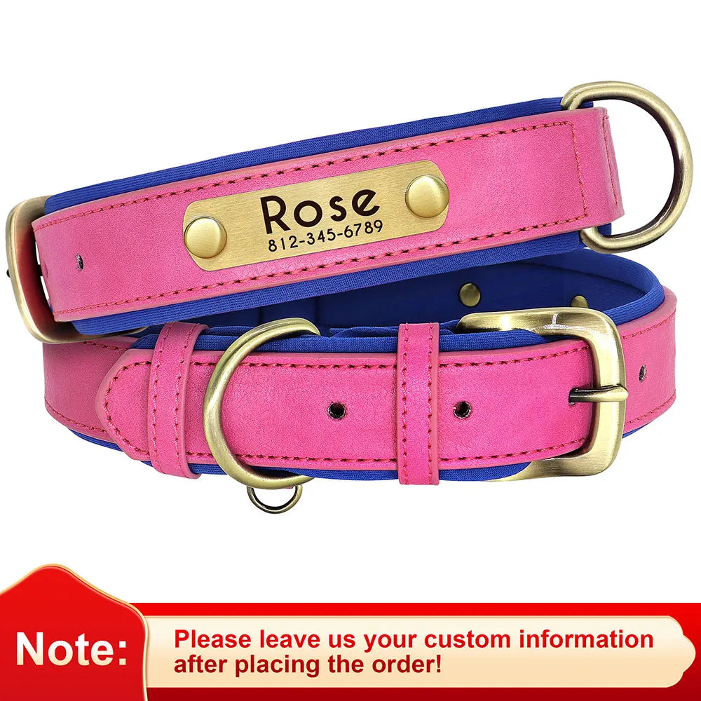 Birch - Custom Engraved Leather Dog Collar, Adjustable All Sizes