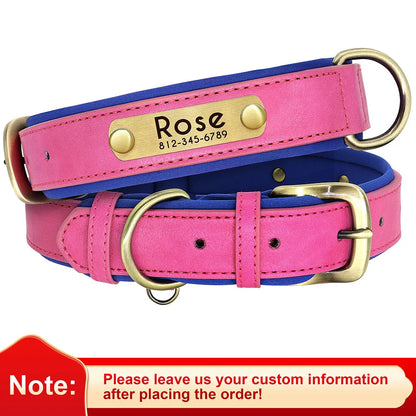 Birch - Custom Engraved Leather Dog Collar, Adjustable All Sizes