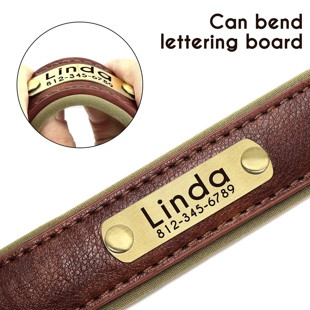 Birch - Custom Engraved Leather Dog Collar, Adjustable All Sizes