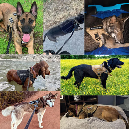 Caspian - Large Dog Tactical No-Pull Harness, Front & Back Clip