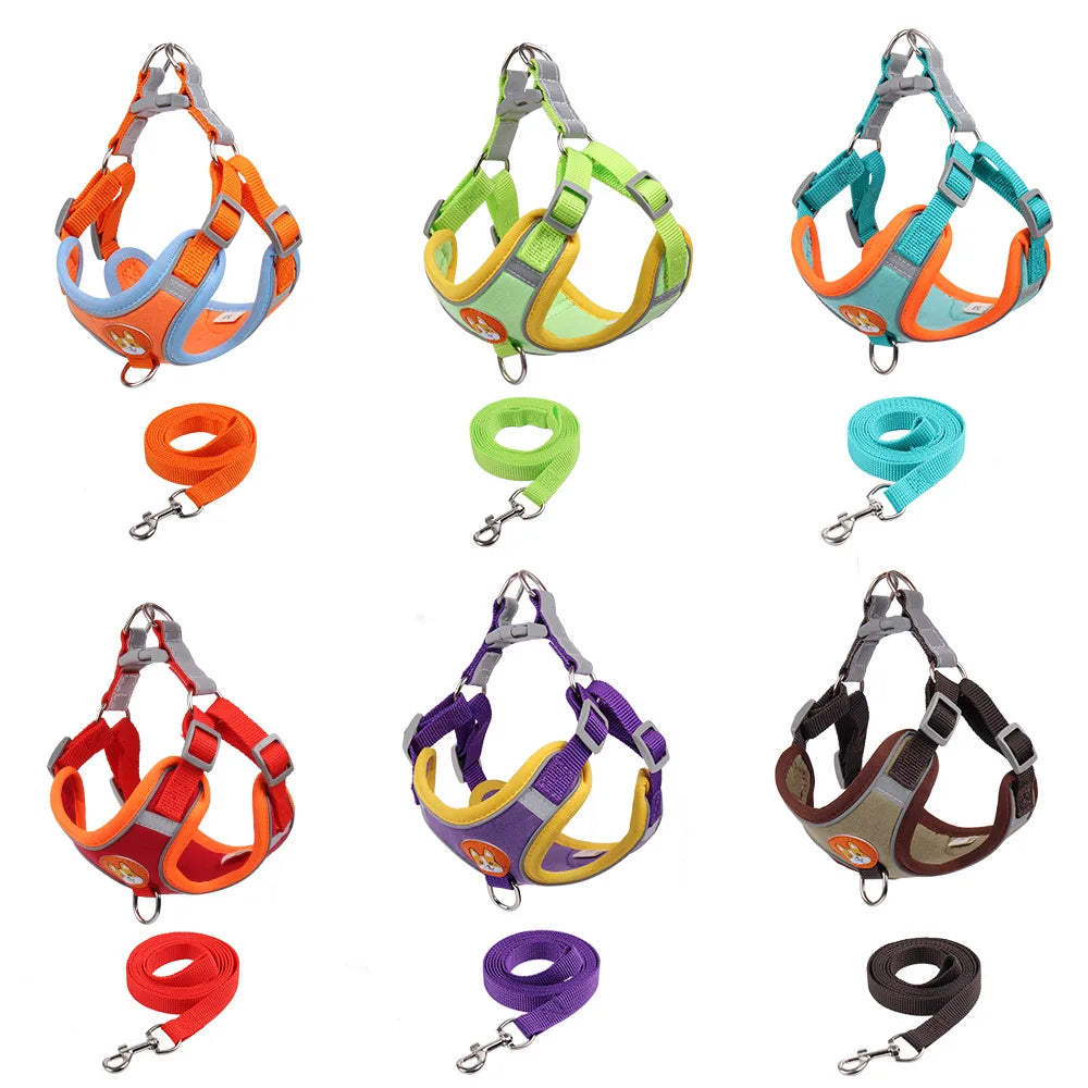 Derwent - No-Pull Dog Harness and Leash Set for Small Dogs