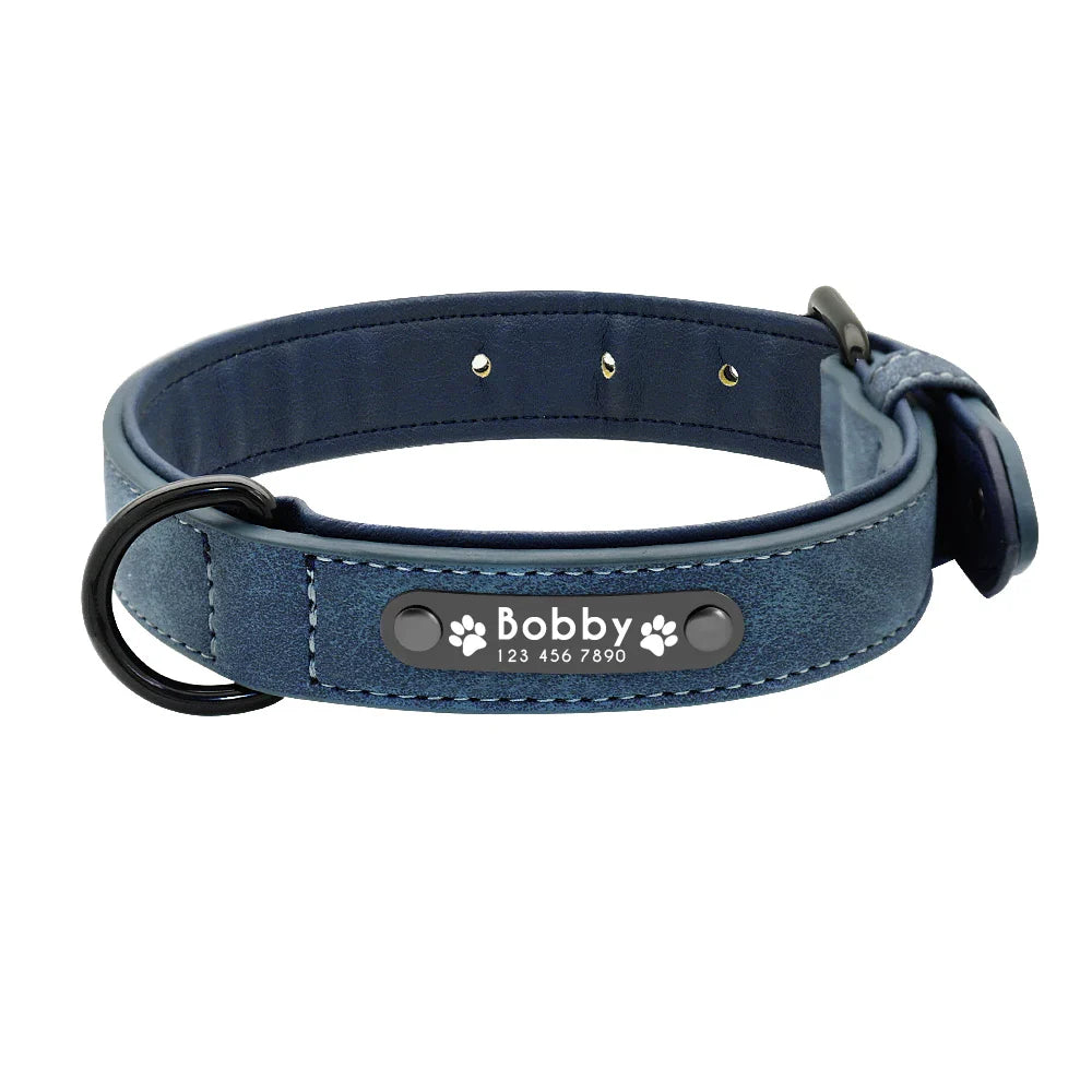 Fern - Personalised Leather Dog Collar with Engraved Nameplate