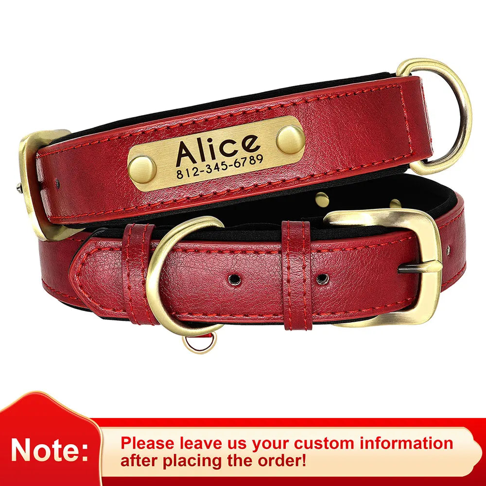 Birch - Custom Engraved Leather Dog Collar, Adjustable All Sizes