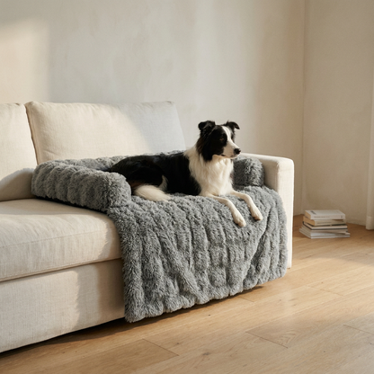Vesta Shot 3 - Border Collie wider view