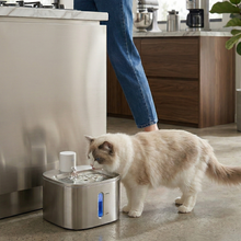 AquaFlow Cordless Sensor Pet Water Fountain Stainless Steel"