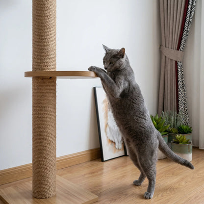 Russian Blue on the Aerie cat tree