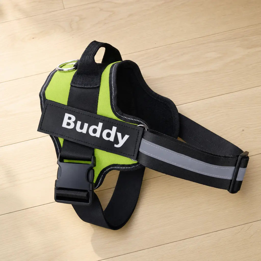 Brio personalised harness in a home setting