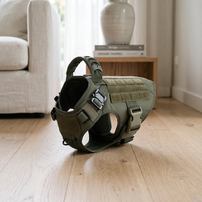 Caspian tactical dog harness studio shot