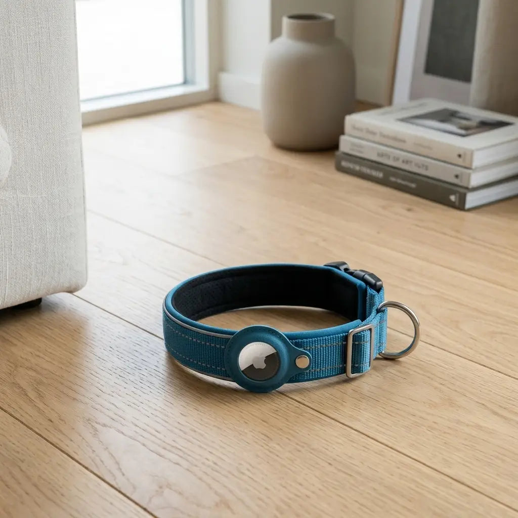 Cinder AirTag dog collar studio shot