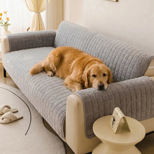 Labrador Retriever using the Corbin sofa cover