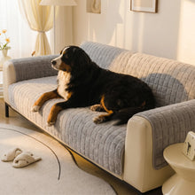 Bernese Mountain Dog with the Corbin sofa cover