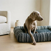 Crag orthopedic bolster dog bed with dog, close up