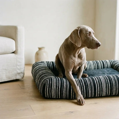 Crag orthopedic bolster dog bed with dog, close up