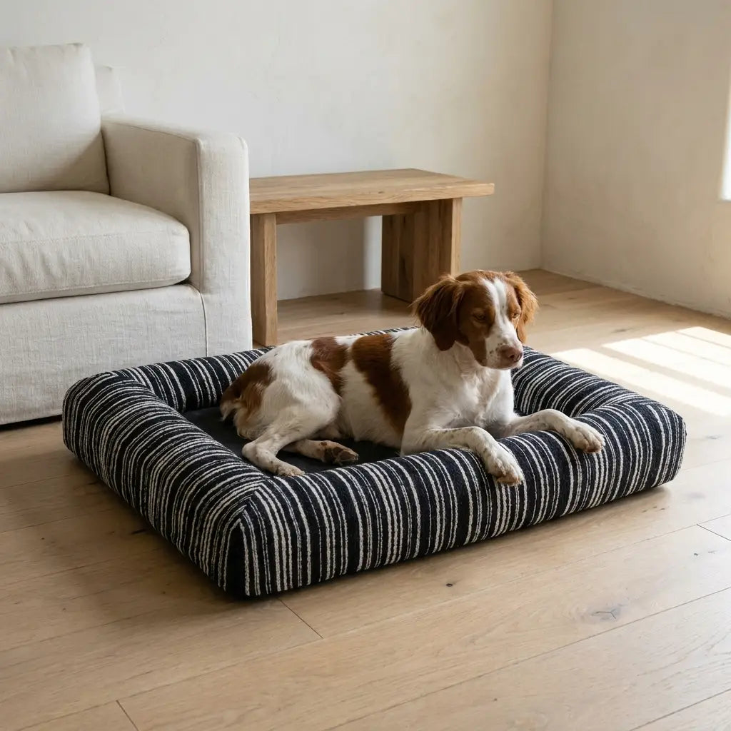 Crag orthopedic bolster dog bed with dog, wider view