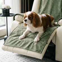 Cavalier King Charles Spaniel using the Croft recliner cover