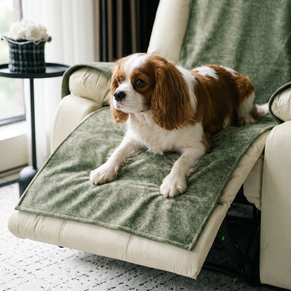 Cavalier King Charles Spaniel using the Croft recliner cover